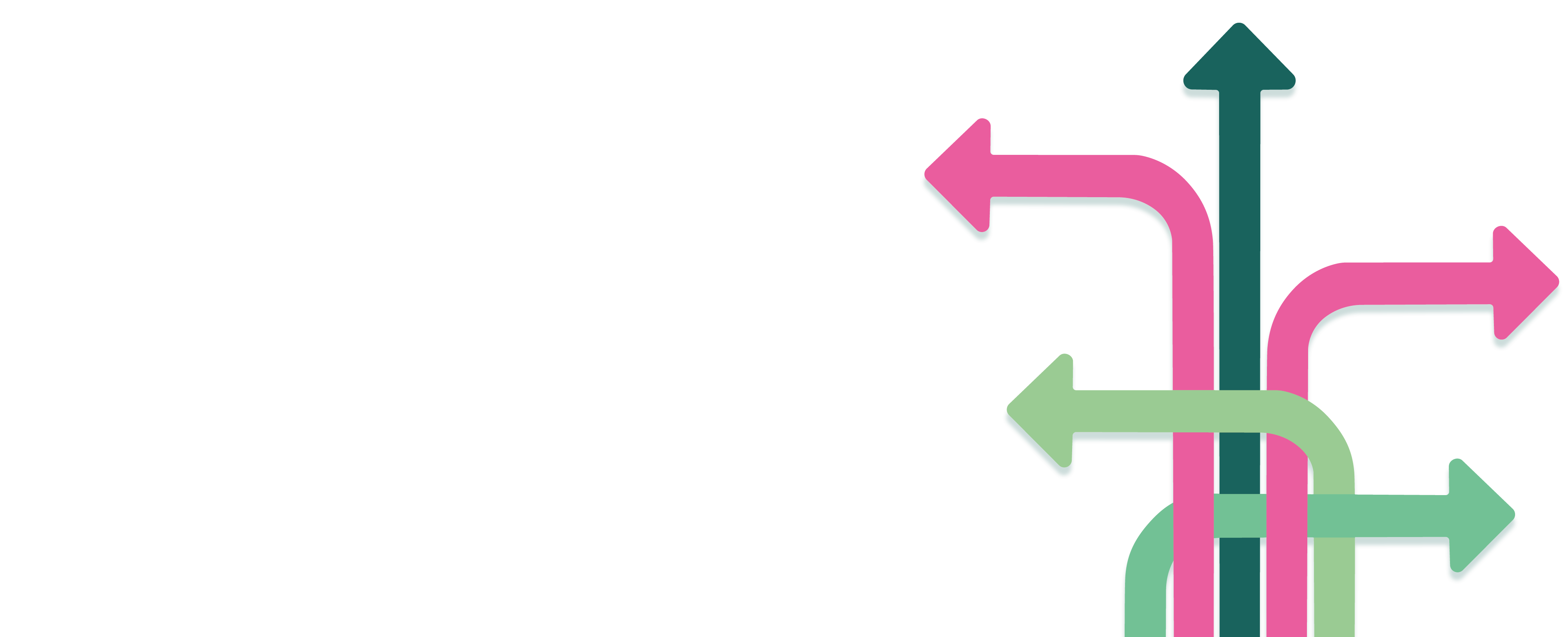 DNT_Webseite_Header_StD_2026_ohne_Störer-HG-Logo